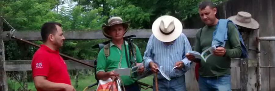 ACTIVIDAD AGROFORESTAL EN SAN VICENTE DEL CHUCURÍ - Imagen 1