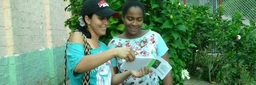 ACTIVIDAD AGROFORESTAL EN SAN VICENTE DEL CHUCURÍ - Imagen 2