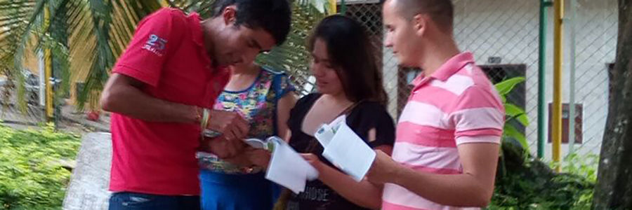 ACTIVIDAD AGROFORESTAL EN SAN VICENTE DEL CHUCURÍ - Imagen 4