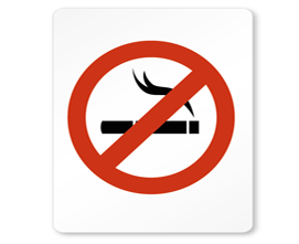 ¿PISANDO NIEBLA O SOÑANDO LIBRE? - Imagen 1