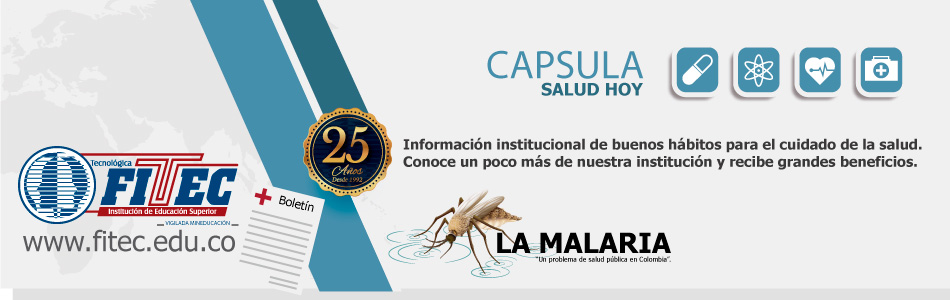 LA MALARIA O PALUDISMO - Imagen 1
